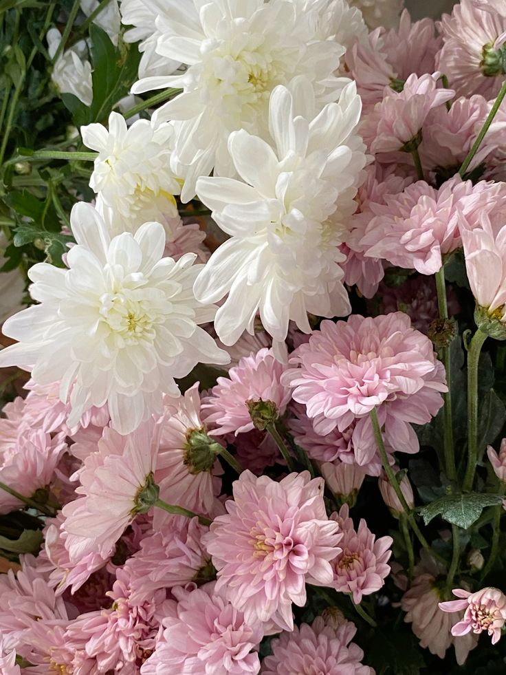 FFI FLORA